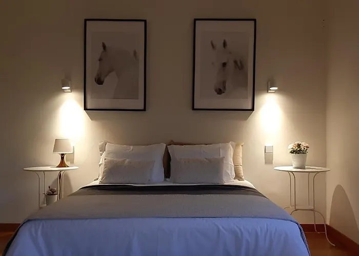 Dos Corceis Проживание в семье *