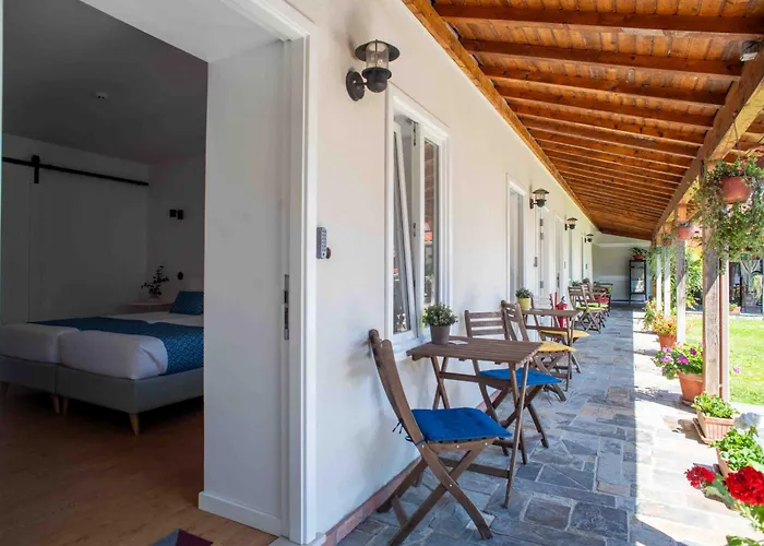 Dos Corceis Проживание в семье