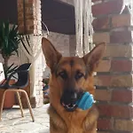 Dos Corcéis Esposende