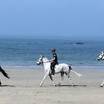 Dos Corcéis