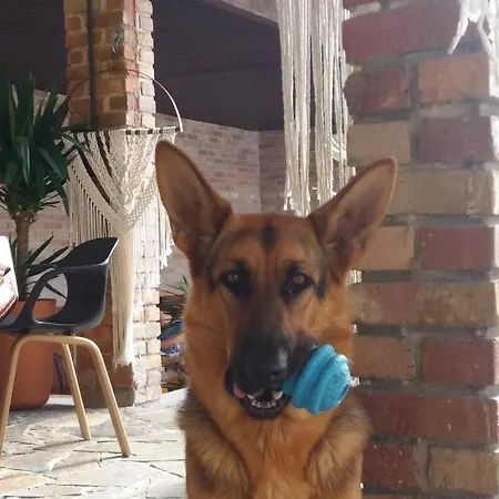 Dos Corceis Esposende