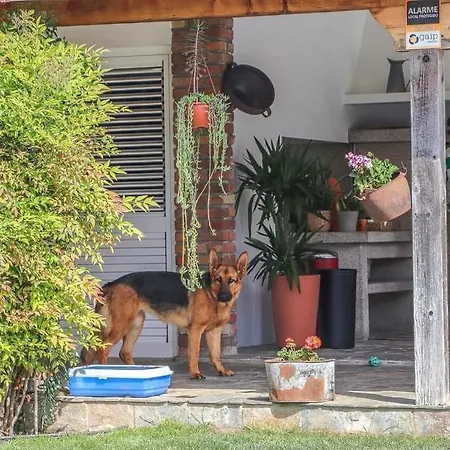 Dos Corceis * Эшпозенди