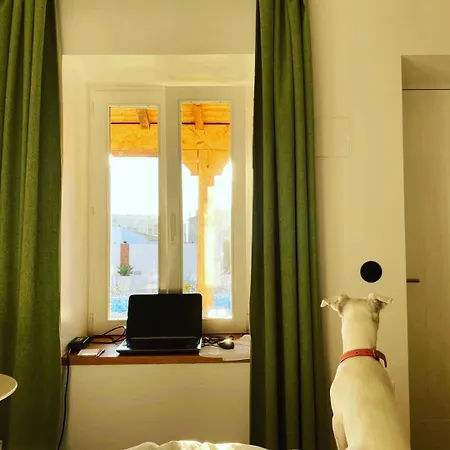 Dos Corceis אספוסנדה